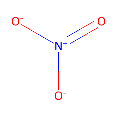 Nitrate ion