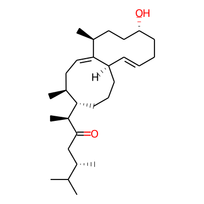 Fraternusterol