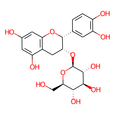 Epicatechin-3-glucoside