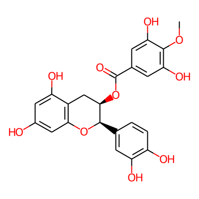 Epicatechin 3-O-(4-O-methylgallate)