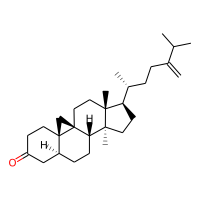 24-Methylenepollinastanone