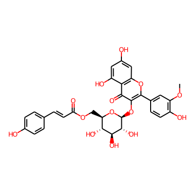 isorhamnetin 3-O-(6'-O-p-coumaroyl)-glucoside