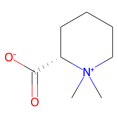 Homostachydrine