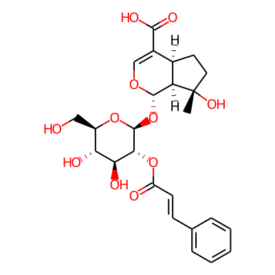 2'-Cinnamoylmussaenosidic acid