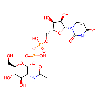 Uridine-diphosphate-N-acetylglucosamine