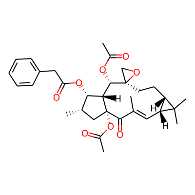 Euphorbiasteroid