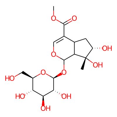 Caryoptoside