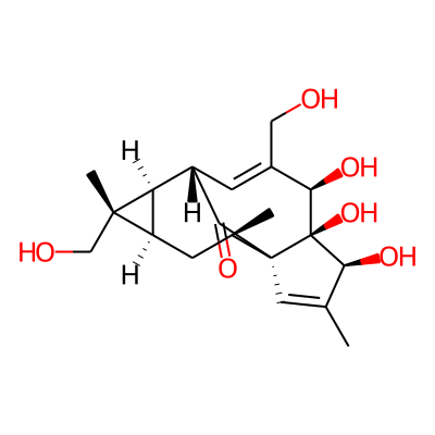 16-Hydroxyingenol