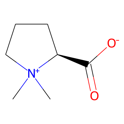 Stachydrine