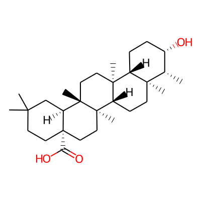 Canophyllic