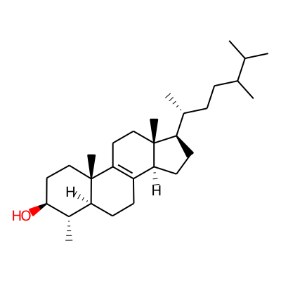 24-Methyllophenol