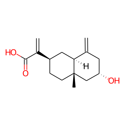 2alpha-Hydroxycostic acid