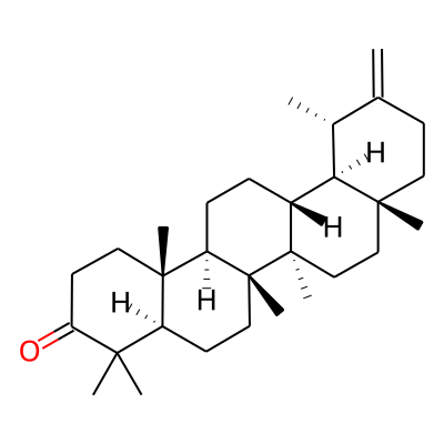 (4aR,6aR,6aR,6bR,8aR,12S,12aR,14aR,14bR)-4,4,6a,6b,8a,12,14b-heptamethyl-11-methylidene-2,4a,5,6,6a,7,8,9,10,12,12a,13,14,14a-tetradecahydro-1H-picen-3-one