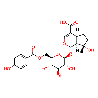 6'-O-p-Hydroxybenzoylmussaenosidic acid
