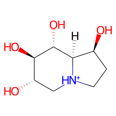 6,7-Diepicastanospermine