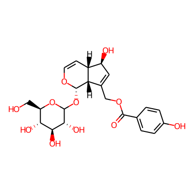 [(1S,4aS,5R,7aR)-5-hydroxy-1-[(3R,4S,5S,6R)-3,4,5-trihydroxy-6-(hydroxymethyl)oxan-2-yl]oxy-1,4a,5,7a-tetrahydrocyclopenta[c]pyran-7-yl]methyl 4-hydroxybenzoate