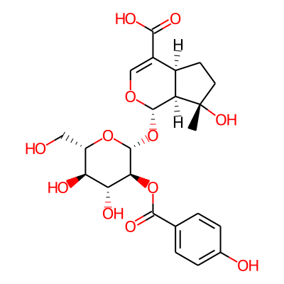 (1S,4aS,7S,7aS)-1-[(2R,3S,4R,5R,6S)-4,5-dihydroxy-3-(4-hydroxybenzoyl)oxy-6-(hydroxymethyl)tetrahydropyran-2-yl]oxy-7-hydroxy-7-methyl-4a,5,6,7a-tetrahydro-1H-cyclopenta[c]pyran-4-carboxylic acid