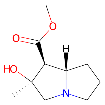 Tussilagine