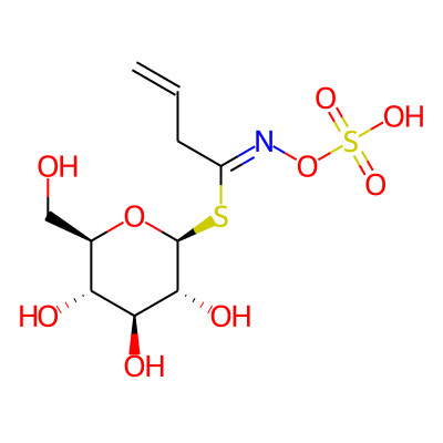 2-Propenyl glucosinolate