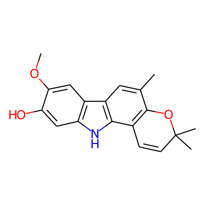 Koenigine