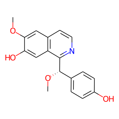 Annocherine B