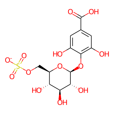 Turgorin