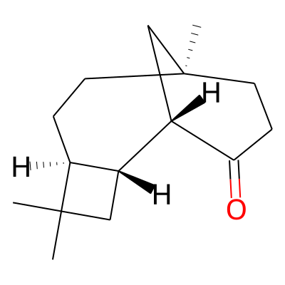 beta-Caryophyllone