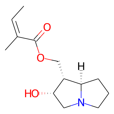 Macrophylline