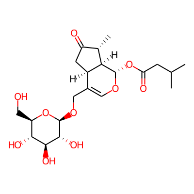 Ebuloside