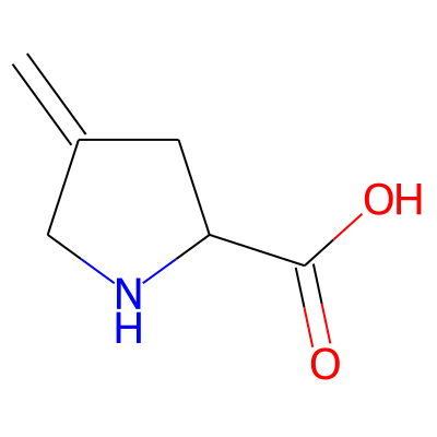 4-Methyleneproline