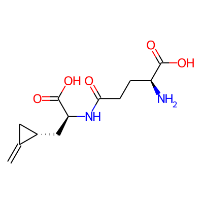 Hypoglycine B