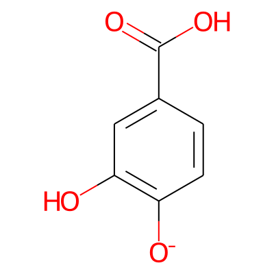 3,4-Dihydroxybenzoate