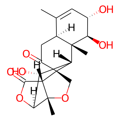 samaderine C