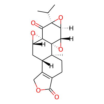 Triptonide