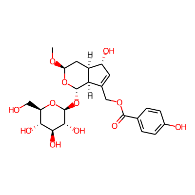 1alpha-(beta-D-Glucopyranosyloxy)-7-[(4-hydroxybenzoyl)oxymethyl]-3beta-methoxy-1,3,4,4aalpha,5,7aalpha-hexahydrocyclopenta[c]pyran-5alpha-ol