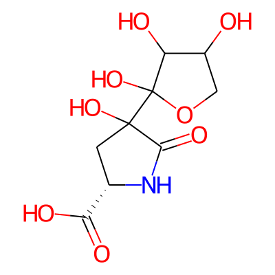 (2S)-4-hydroxy-5-oxo-4-(2,3,4-trihydroxyoxolan-2-yl)pyrrolidine-2-carboxylic acid