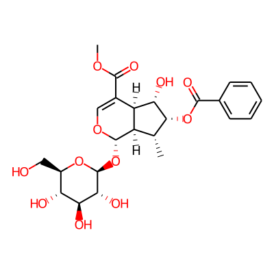 methyl (1S,4aS,5S,6R,7R,7aR)-6-benzoyloxy-5-hydroxy-7-methyl-1-[(2S,3R,4S,5S,6R)-3,4,5-trihydroxy-6-(hydroxymethyl)oxan-2-yl]oxy-1,4a,5,6,7,7a-hexahydrocyclopenta[c]pyran-4-carboxylate