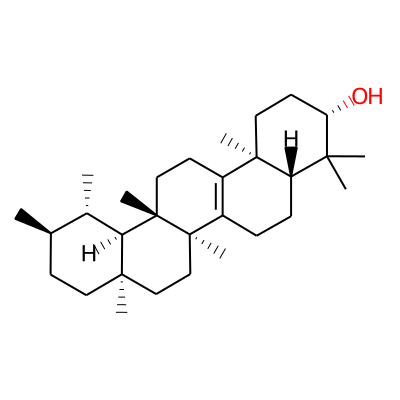 Isobauerenol