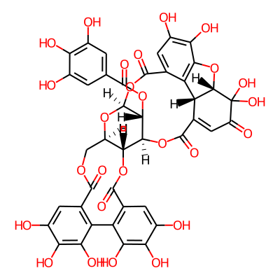 Euphorscopin