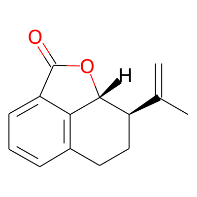 Platyphyllide