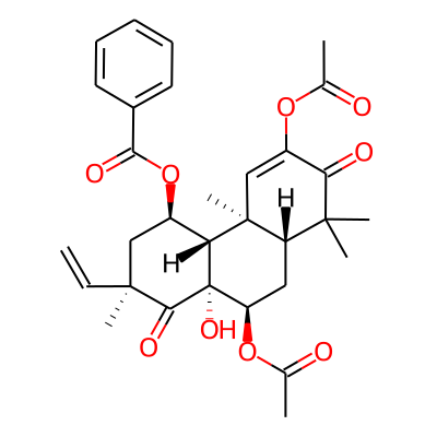 orthosiphol D