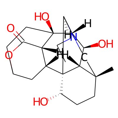Heterophyllidine