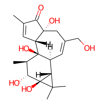 Phorbol