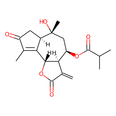 Cyclotagitinin C