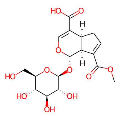 10-Methylixoside