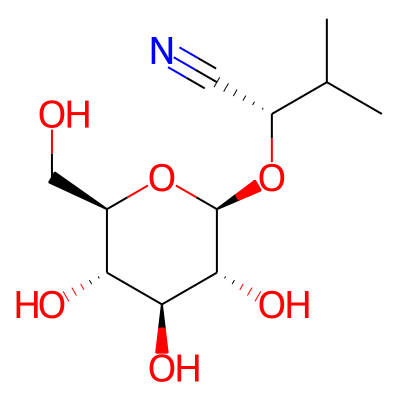 Heterodendrin