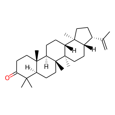 17beta(H),21beta(H)-HOP-22(29)-EN-3-ONE