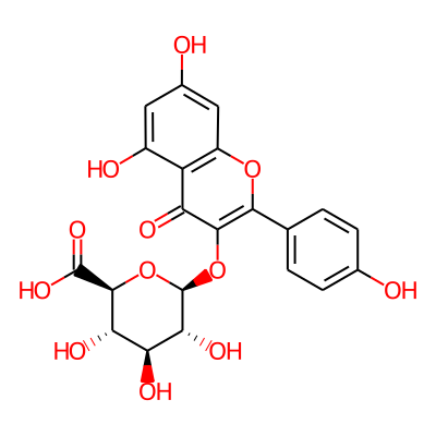 Kaempferol 3-glucuronide