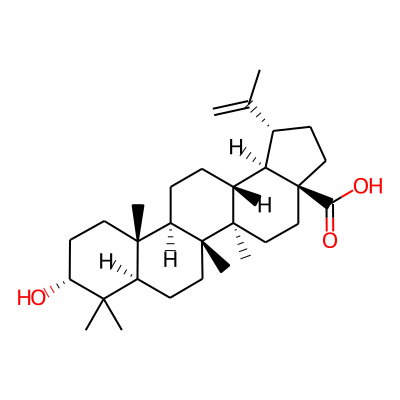 Epibetulinic acid