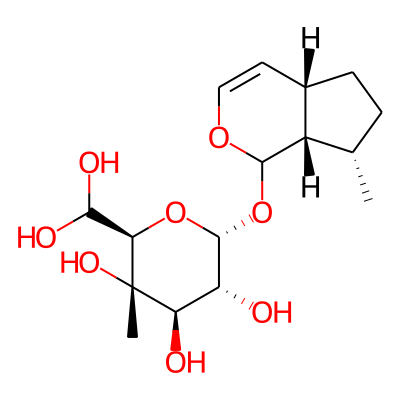7beta-Hydroxy-8-epiiridodial glucoside